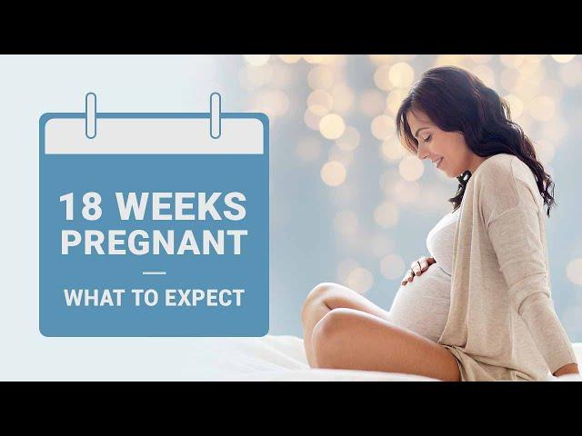 18 Weeks Pregnant - Symptoms, Baby Size, Dos & Don'ts