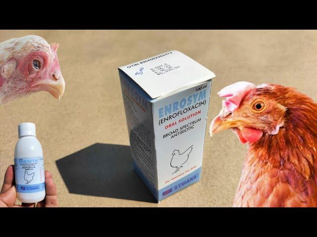 Enrosym ( Enrofloxacin ) for Chickens and other Livestock | Dr. ARSHAD