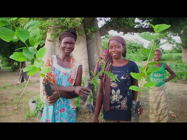 Planting for the Future