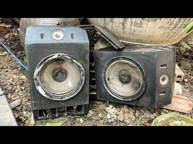 Restoration Severely Damaged Bose 301 Seri 4 Speakers // Amazing Restoration Project