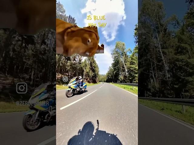 „The Flow“ by H.J.Simpson-AI #bikersofinstagram #bikelife #memes #happy #flow #simpsons #police