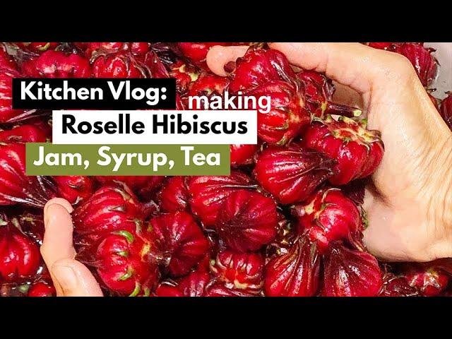 Roselle Hibiscus: Harvesting, making Jam, Syrup & Tea || Kitchen Vlog