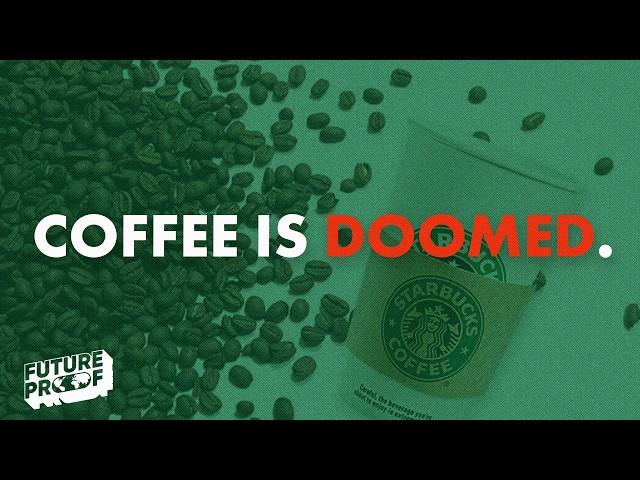 The DOWNFALL of the Coffee Industry