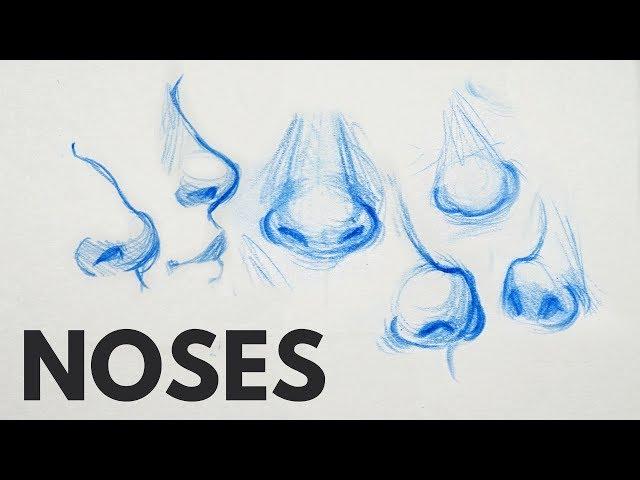 How to Draw Noses // My Tips and Tricks!