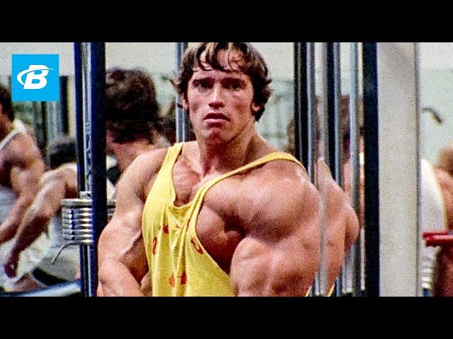 Best Bodybuilder of All Time | Arnold Schwarzenegger's Blueprint Training Program