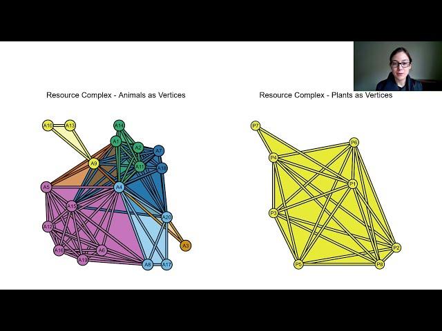 Topological Data Analysis of Plant-Pollinator Resource Complexes [Melinda Kleczynski]