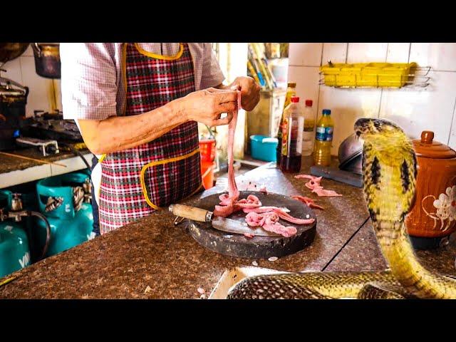 Ancient SNAKE VILLAGE in VIETNAM | Catch and Cook COBRA SNAKE in HANOI Vietnam