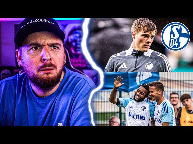 WATT passiert denn hier ?!?! SCHALKE TALK | Der Keller Stream Highlights