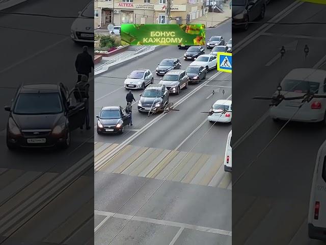 Вот такие мужики нужны на дорогах!