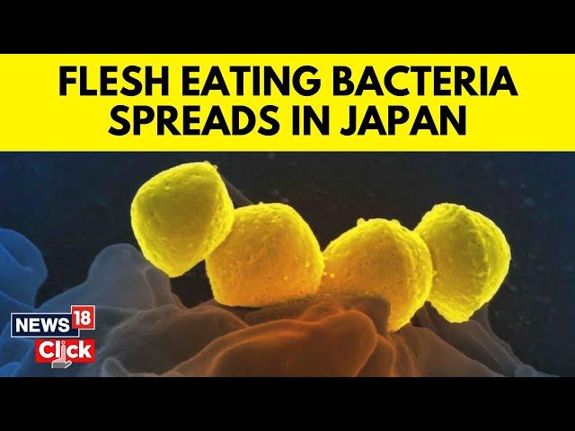 Japan News | Rare Bacteria That Can Kill In 48 Hours Is Spreading | Explained: What Is STSS? | G18V