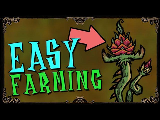 EASIEST WAY TO USE FARM PLOTS | Reap What you Sow Don't Starve Together Guide