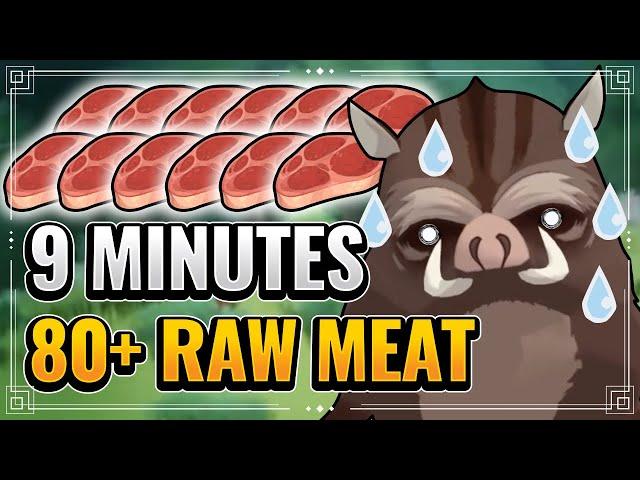 Raw Meat Farming Route (BOAR MMD INCLUDED!!) Genshin Impact Guide