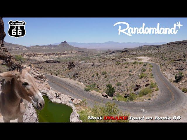 Route 66's Wildest Ride: The Oatman Highway, Secret Spots, & More!