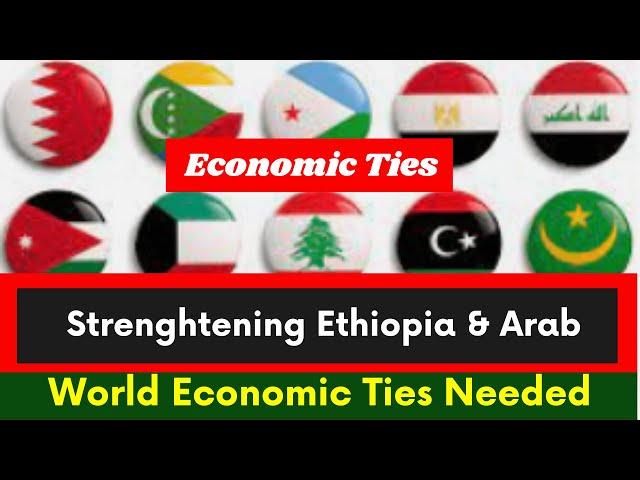 Ethiopia |Strengthening Ethiopia and Arab World Economic Ties Needed | Abiy Ahmed