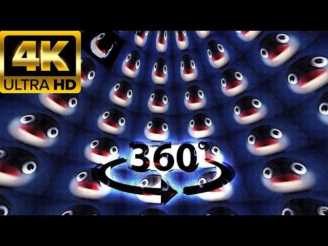 Noot noot OVER 1 MILLION TIMES VR 360° 4k