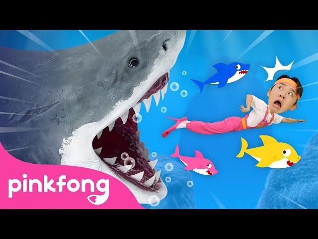  Run Away from the Sharks! | Animal Song | Hoi's Playground | Pinkfong Baby Shark Kids Song