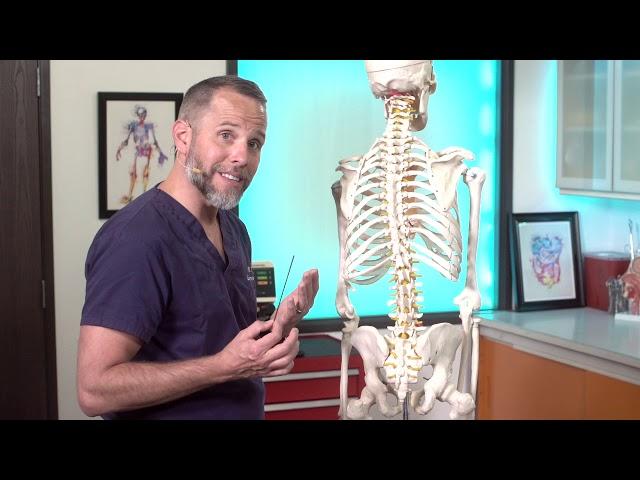 Lumbar Puncture Anatomy | Adult EM Bootcamp