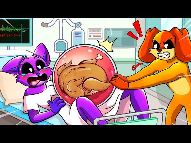 Catnap Has A Fake Pregnancy (Cartoon Animation) | Poppy Playtime Chapter 3 Animation | Sky Games