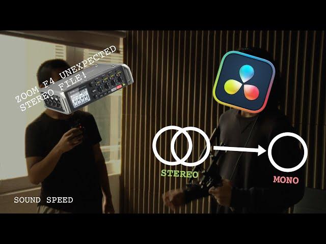 Sound Speed - Zoom F4's Unexpected Stereo Audio File Issue (TH)