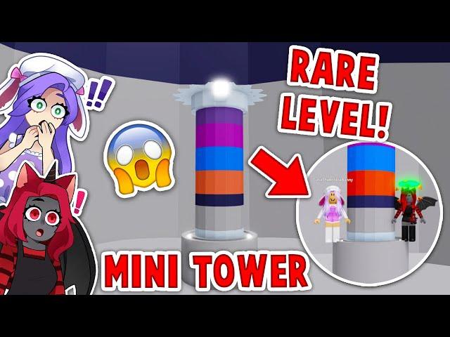 We Found The RARE MINI TOWER LEVEL In Tower Of Hell! (Roblox)