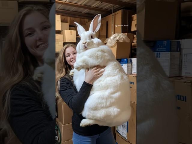 Congrats, Nicole! Your magical giant rabbit that speaks like a human is absolutely amazing!  #ai