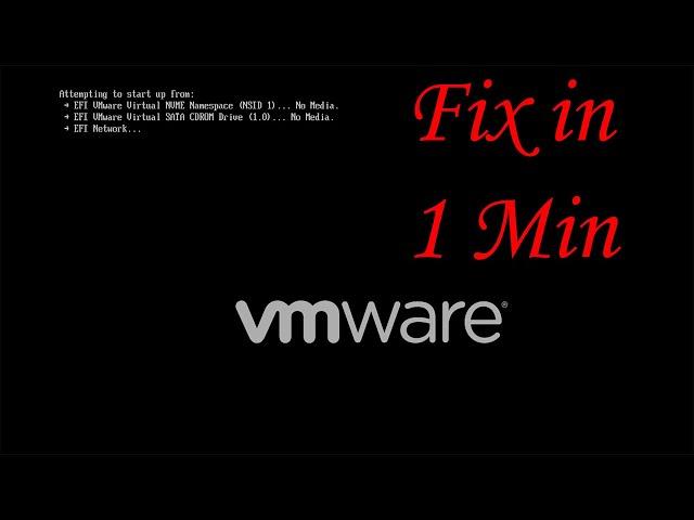 How to Fix Booting Problem in VMware Windows 10/11 | EFI Virtual SCSI No Media