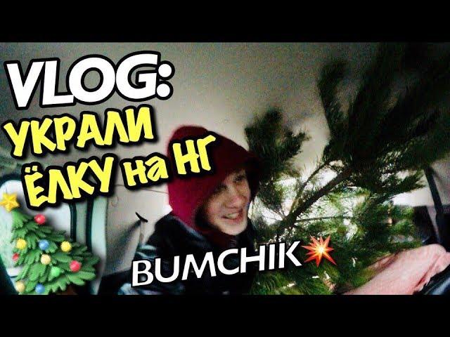 VLOG: УКРАЛИ с БУМЧИКОМ ЁЛКУ на НГ/ Андрей Мартыненко