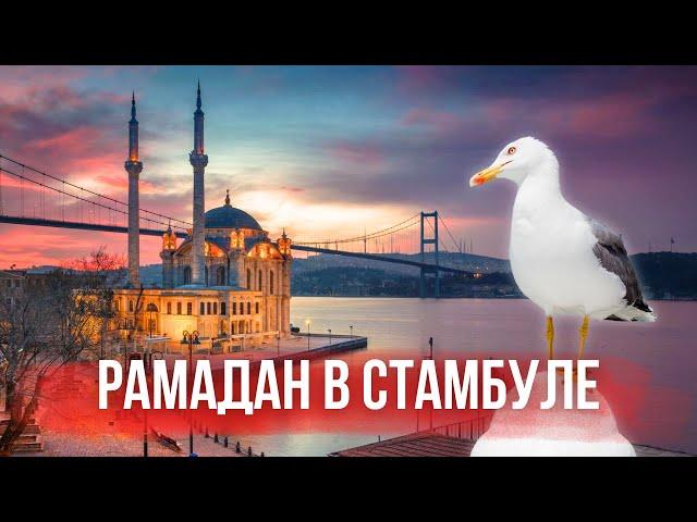 Рамадан в Стамбуле | Что изменится для туристов?