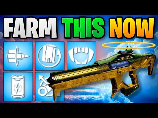 New Meta Weapon! God Roll Guide! *Scintillation Adept*