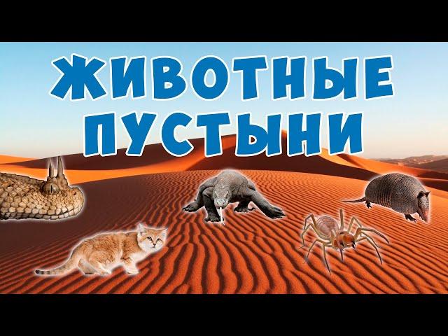 Животные пустыни   видео для детей о диких животных   Карточки Домана Монтессори