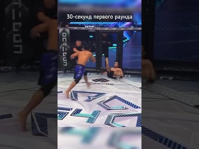  Узбекскый боец ММА наказал Таджика   #ufc #mma #uzbekistan