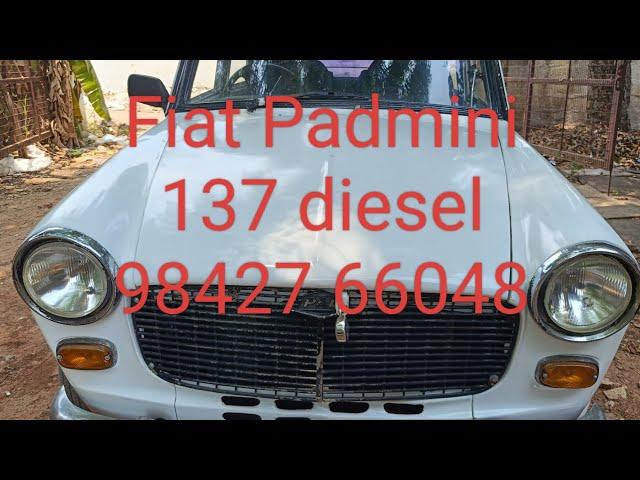 Fiat premier Padmini 137 diesel 98427 66048 for sales RC current location gobi