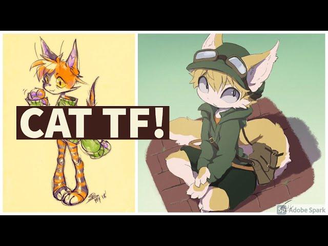 (request!) Cat Transformation / Cat TFs & TGs :3 - PART 1