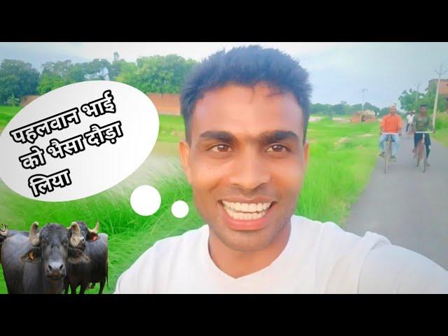 पहलवान भाई को भैसा दौड़ा लिया || nilesh vlogs