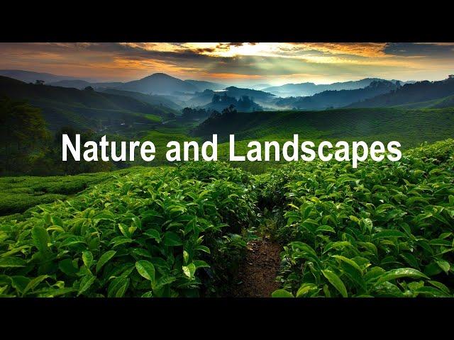 Nature & Landscapes