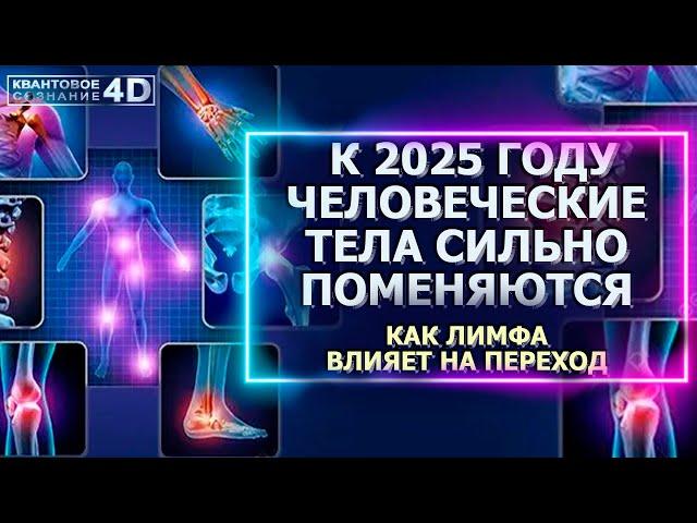 К 2025 ГОДУ ЧЕЛОВЕЧЕСКИЕ ТЕЛА СИЛЬНО ПОМЕНЯЮТСЯ/ КАК ЛИМФА ВЛИЯЕТ НА ПЕРЕХОД