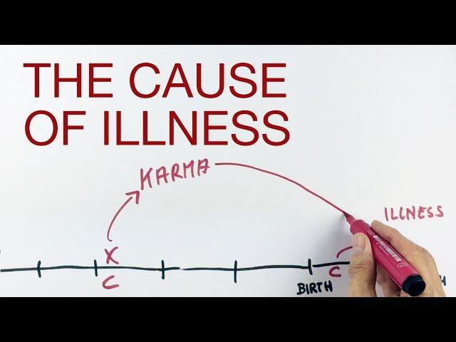 THE CAUSE OF ILLNESS explained by Hans Wilhelm