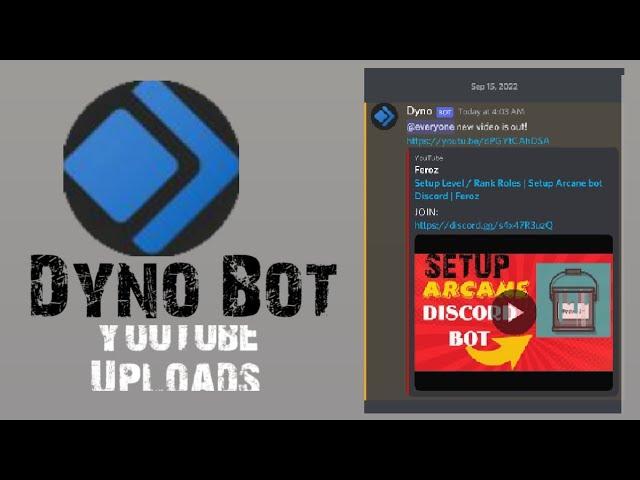 Dyno bot | Notification YouTube Discord Upload | Video ping everyone | Feroz