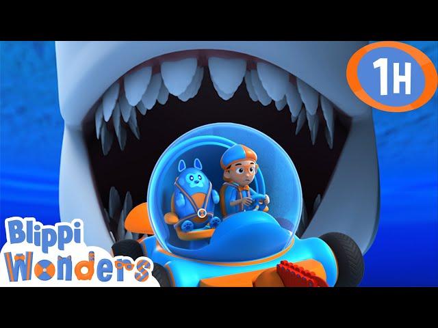 Sharks' Teeth! | Blippi Wonders | Educational Videos for Kids