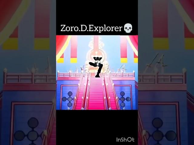 Zoro D Explorer