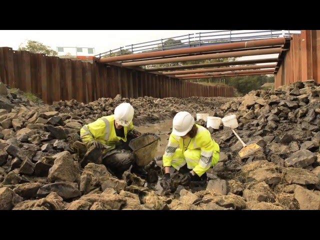 20 years of the Environment Agency