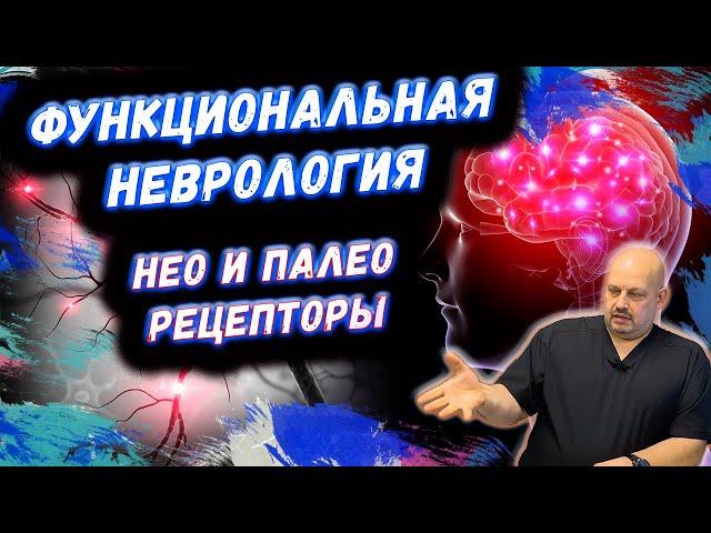 Фантомные боли | Функциональная неврология | Про рецепторы | Нео и Палео рецепторы