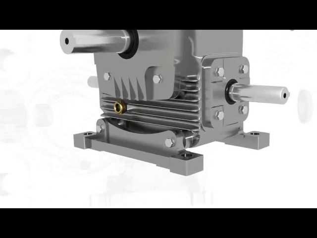 Worm Gearbox, Worm Reduction Gear Box, Worm Speed Reducer and Gear Motor Manufacturer