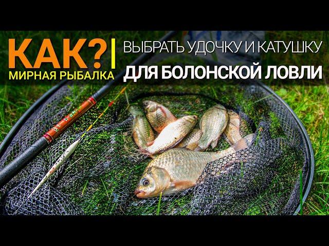 Как выбрать удочку и катушку для болонской ловли?