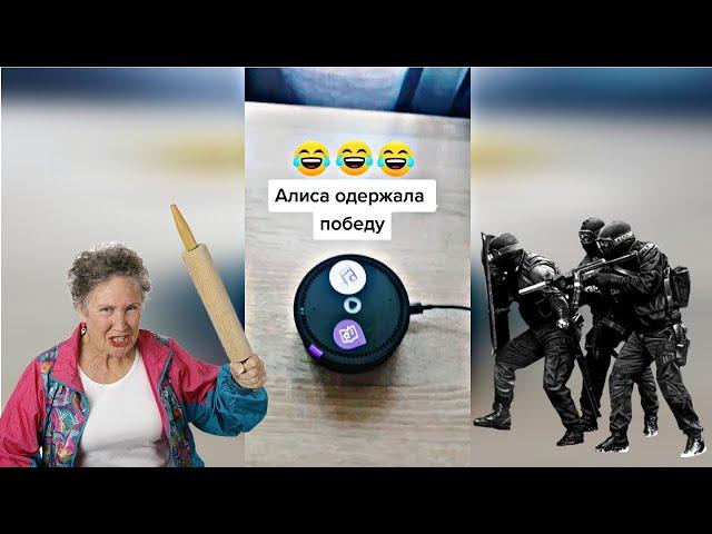 Алиса vs тёща  лучшие приколы 2022 Алиса топ