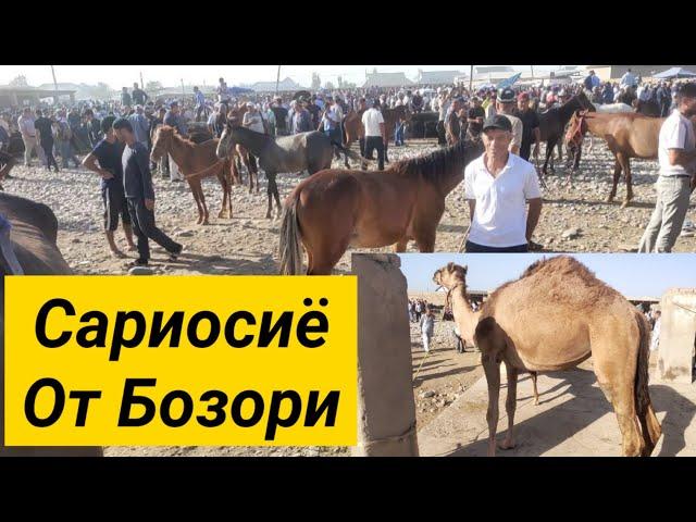 Сурхондарё Сариосиё Пайшанба ОТ БОЗОРИ нархлари. 30.06.2022й