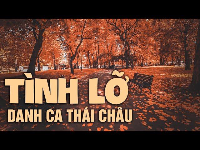 Tình Lỡ | Danh Ca Thái Châu (st: Thanh Bình)