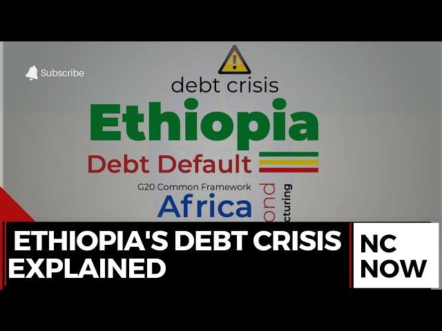 Ethiopia's Debt Crisis: World Bank and IMF Clash Over Sustainability Analysis