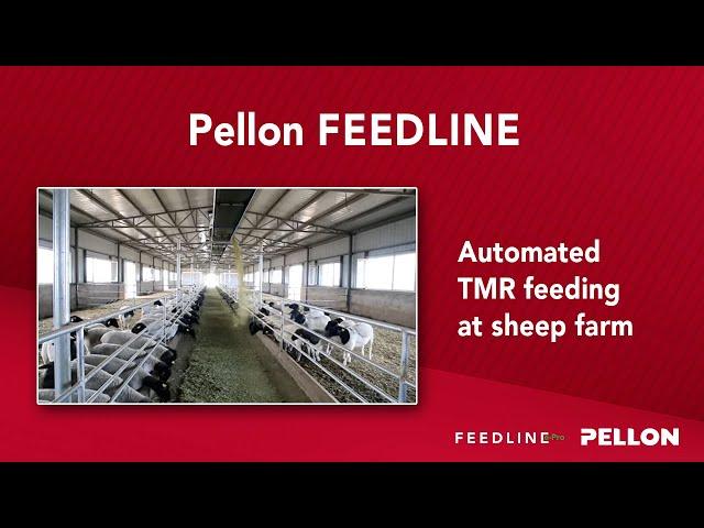 Automated TMR feeding at sheep farm - Pellon Feedline