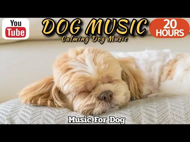 20 HOURS of Dog Calming MusicDog relaxationAnti Separation Anxiety Relief MusicHealingmate